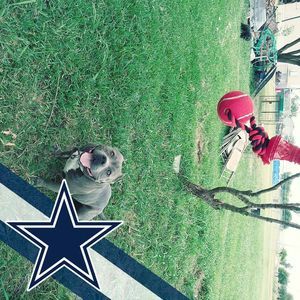 Meet your Posher, Gloria